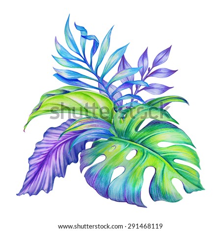 watercolor exotic jungle leaves arrangement, artistic design element isolated on white background