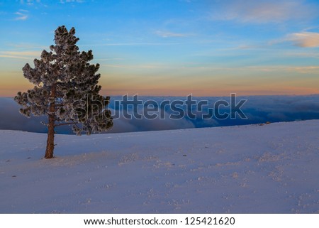 Winter landscape Winter landscape