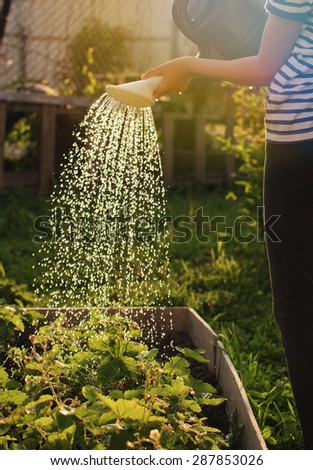 girl with watering can in her hands watering  in the garden