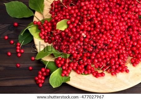 Schisandra chinese or five flavor berry