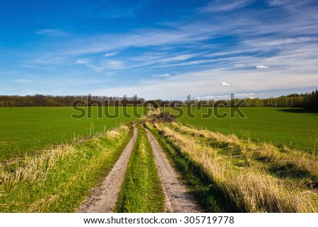 Country road, green fields and blue sky