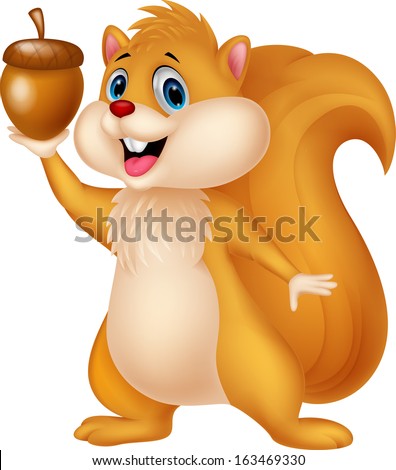 Cute squirrel holding nut Cute squirrel holding nut