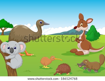 Animals in Australian Outback Animals in Australian Outback