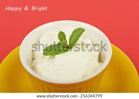 White ice cream in a bowl with mint on a red background