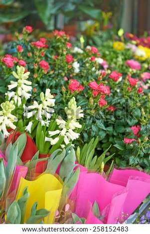 Spring flowers on a market stall