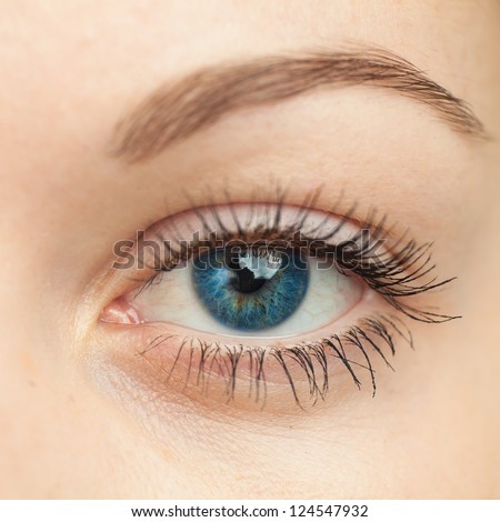 Eye macro. Woman eye. Macro image of human eye.