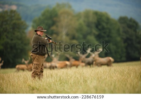 old man hunter waiting for his trophy on meadow, hunter with his rifle in spring forest, hunter holding a rifle and waiting for prey, hunter aiming and shooting, gamekeeper on the hunt
