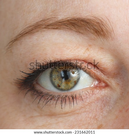 Eye macro. Woman eye. Macro image of human eye. Green and ginger.