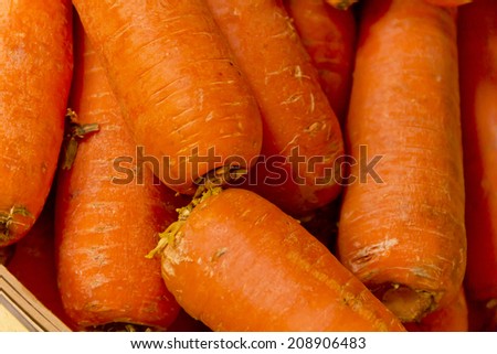 Closeup of organic grown farmers market carrots