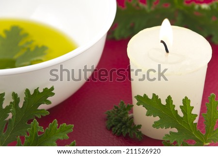 Citronella plant leaves with a citronella candle, no mosquitos