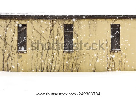 Yellow abandoned building on a snowy day with boarded up windows and vines