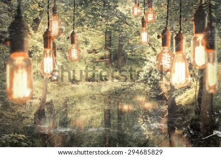 Decorative antique edison style filament light bulbs hanging in the woods