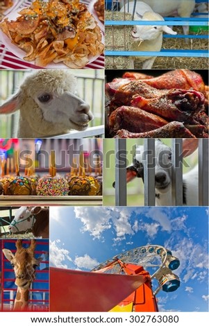 Attractions at summer carnival including animals rides and food in collage