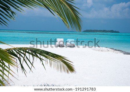 luxurious and beautiful beach setting - palm tree and sea beds