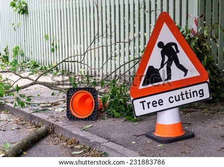 Tree cutting safety sign and orange cone on the street warning about of danger zone with fallen branches and sawdust on the asphalt