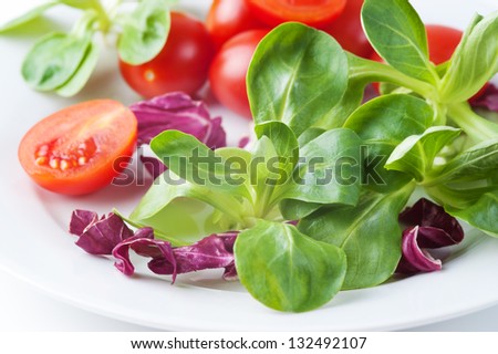 Vegetable salad with tomato, corn salad and red radicchio