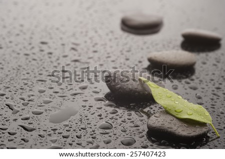 Spa massage stones with leaves and water drops, close up