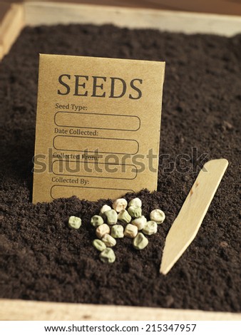 Seed Pack with soil