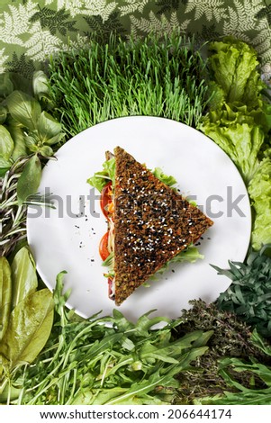 raw food sandwich with carrot greens and herbs, concept, idea, creativity