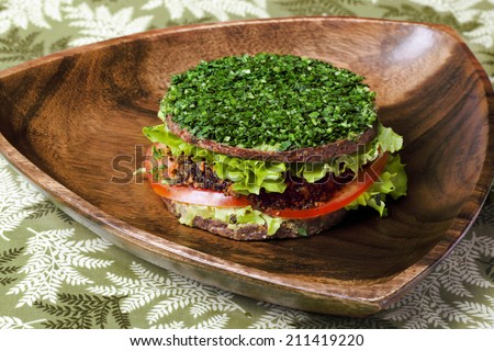 raw food hamburger with raw vegetable still life