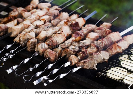 eating kebabs on the grill on the nature pork