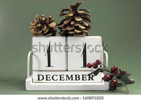 Save the Date calendar with Winter theme colors, fruit and flowers, for birthdays, special occasions, holidays, weddings, website events, or Christmas Advent calendar days, for December 11