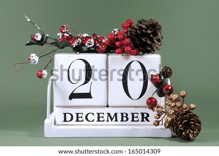 Save the Date calendar with Winter theme colors, fruit and flowers, for birthdays, special occasions, holidays, weddings, website events, or Christmas Advent calendar days, for December 20.