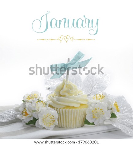 Beautiful white snow theme cupcake with seasonal flowers and decorations for the month of January with sample text or copy space for your text here.