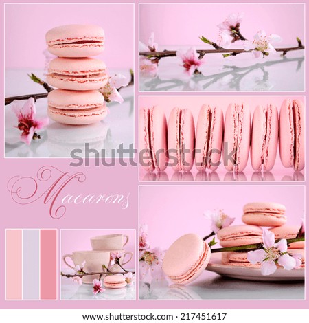 Pink Macarons Collage with shabby chic theme and spring blossoms and vintage cups and plate,  with sample text, borders and color swatches.