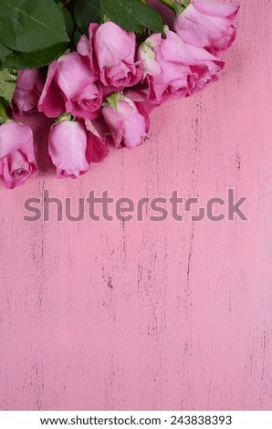 Pink Roses on pink wood background, vertical with copy space for your text here.