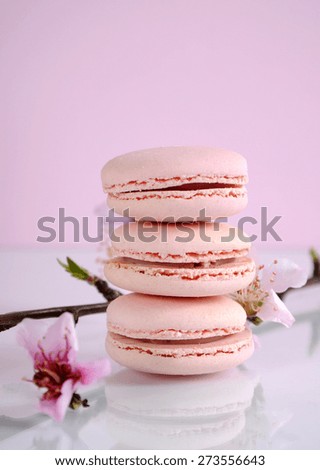 Shabby chic vintage style pink macarons on white reflective table and pink Spring blossom.