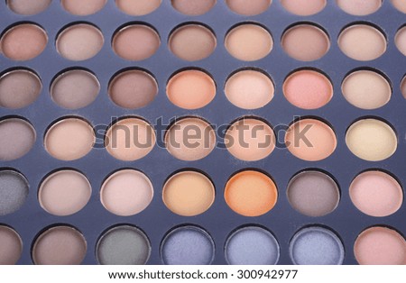 Professional artists makeup eye shadow palette with autumn brown color range.