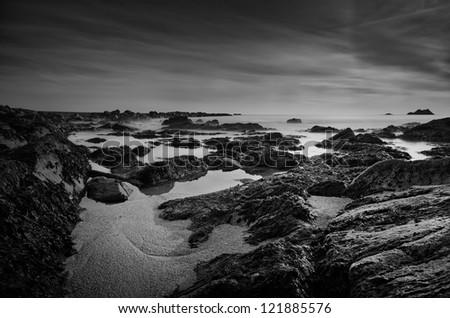 Beach scene in black and white