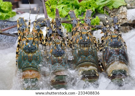Fresh lobsters on ice tray in sea-food market