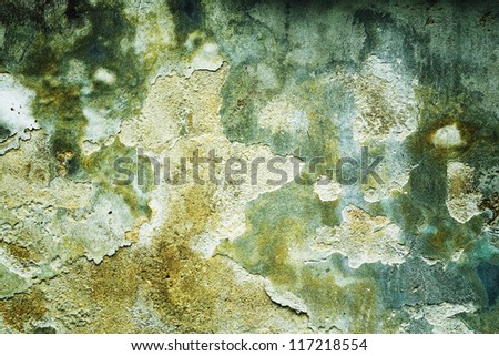 Abstract background of green damp stains and fungus causing peeling grungy plaster on a wall