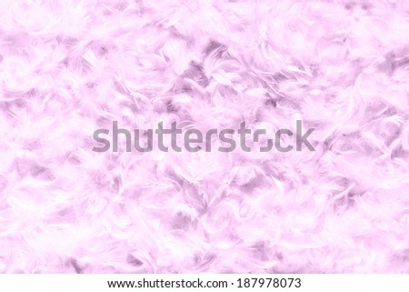 Background texture of soft pink birds feathers, probably either dyed duck down or eiderdown, scattered full frame for a feminine delicate backdrop