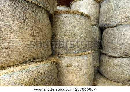 Stacked circular hay bale texture with dried baled pasture grass for use as winter fodder for agricultural livestock stored in a barn