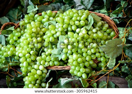 Display of bunches of fresh white or green grapes in a wicker basket at a farmers market, winery or tavern for use as table grapes or in wine making