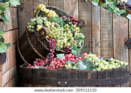 Display in a winery or tavern of red and white grapes spilling from a wooden bucket into a large barrel below conceptual of the grape harvest, wine making and viticulture