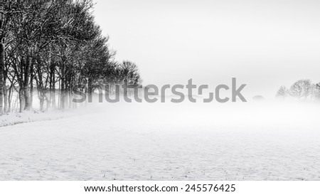Black and white winter landscape with fog, Belgium