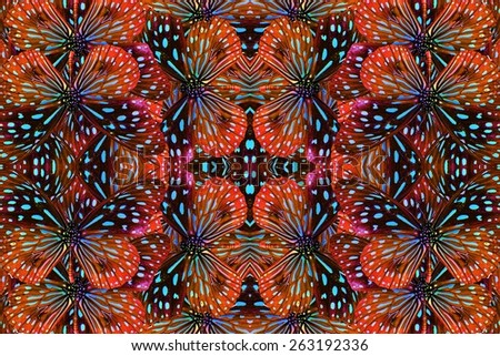 Beautiful multicolor pattern background texture made from Pale Blue Tiger Butterfly (Tirumala limniace)