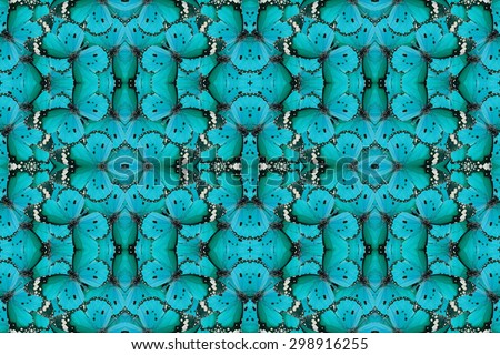 Beautiful multicolor pattern background texture made from Plain Tiger Butterfly (Danaus chrysippus)