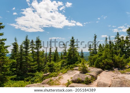 Mountain trees against the blue sky (Franey Mountain, Cape Breton Highlands National Park, Canada)