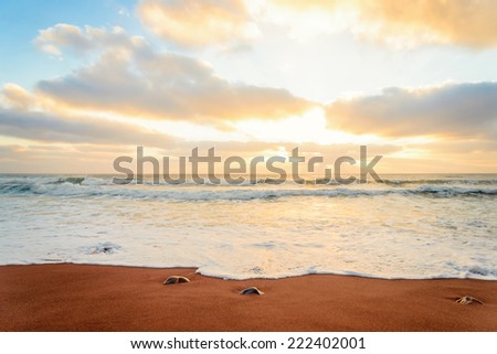 Ocean shore in the morning (Cape Breton, Nova Scotia, Canada)