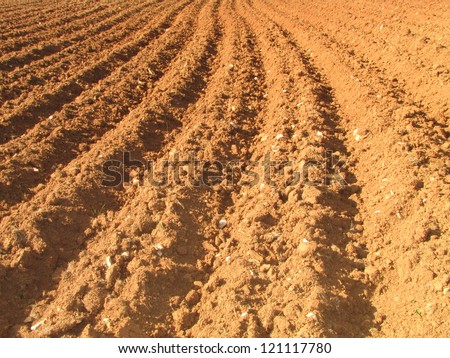 red arable land texture