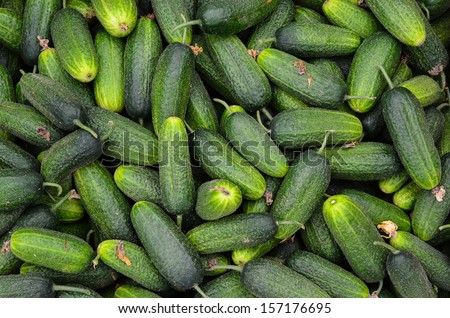 Full frame of cucumbers background - heap of cucumbers in wooden crate ready for sale