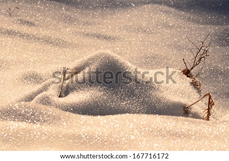 Snowdrift over branches and dry fern leaves in golden sunset light with shiny blurred foreground and background