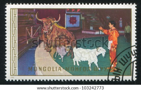 MONGOLIA - CIRCA 1986: A stamp printed by Mongolia, shows trick with animals, circa 1986