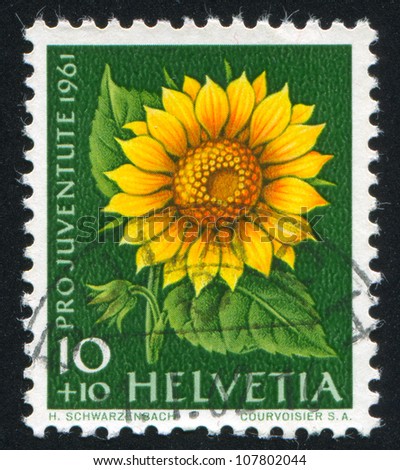 SWITZERLAND - CIRCA 1961: stamp printed by Switzerland, shows flower Sunflower, circa 1961.
