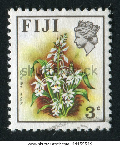 Fiji Tropical Flowers